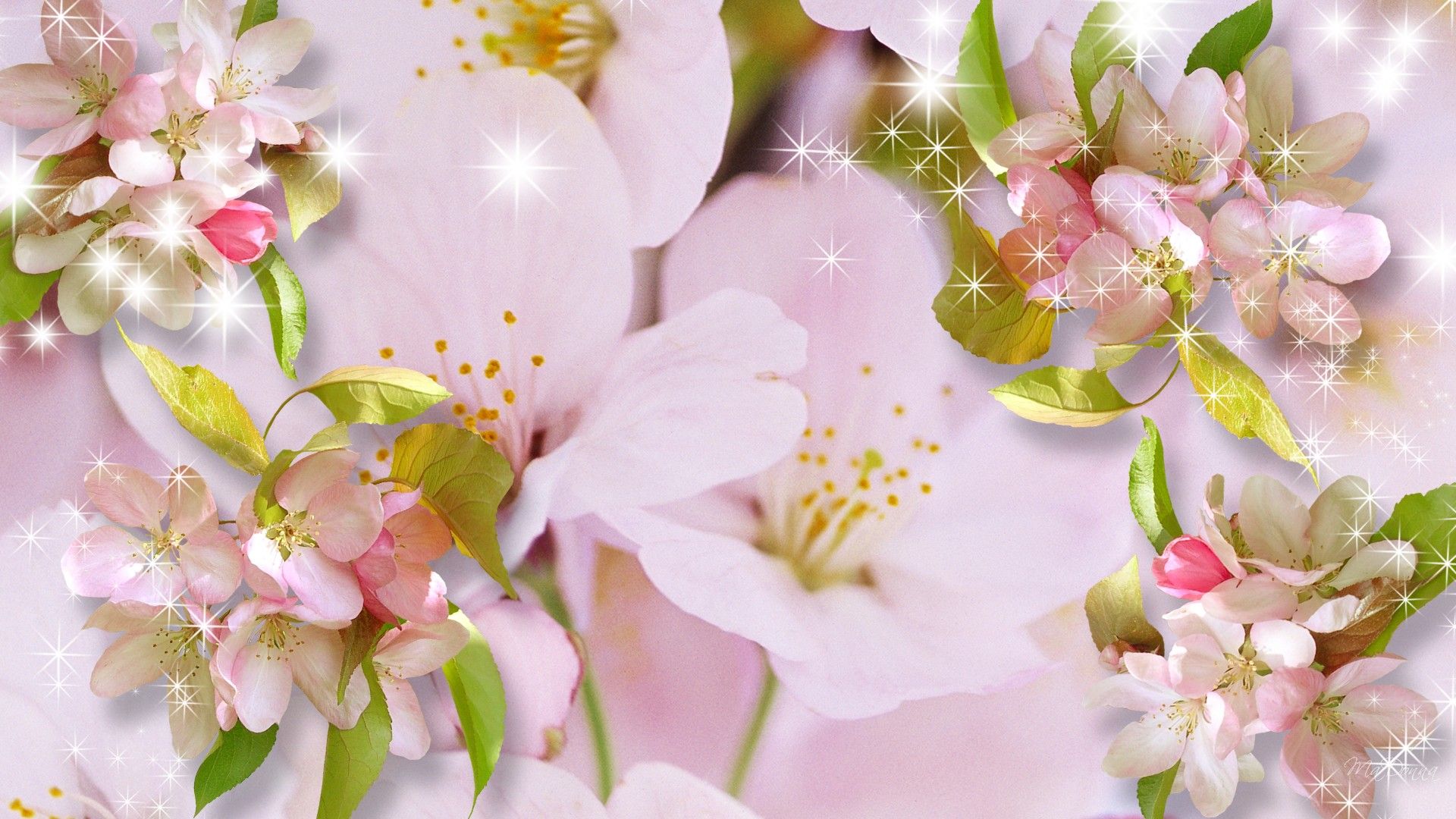 Hd Essence Of Sakura Wallpaper, Spring, Firefox Persona, - Bunga Sakura Khas Jepang , HD Wallpaper & Backgrounds