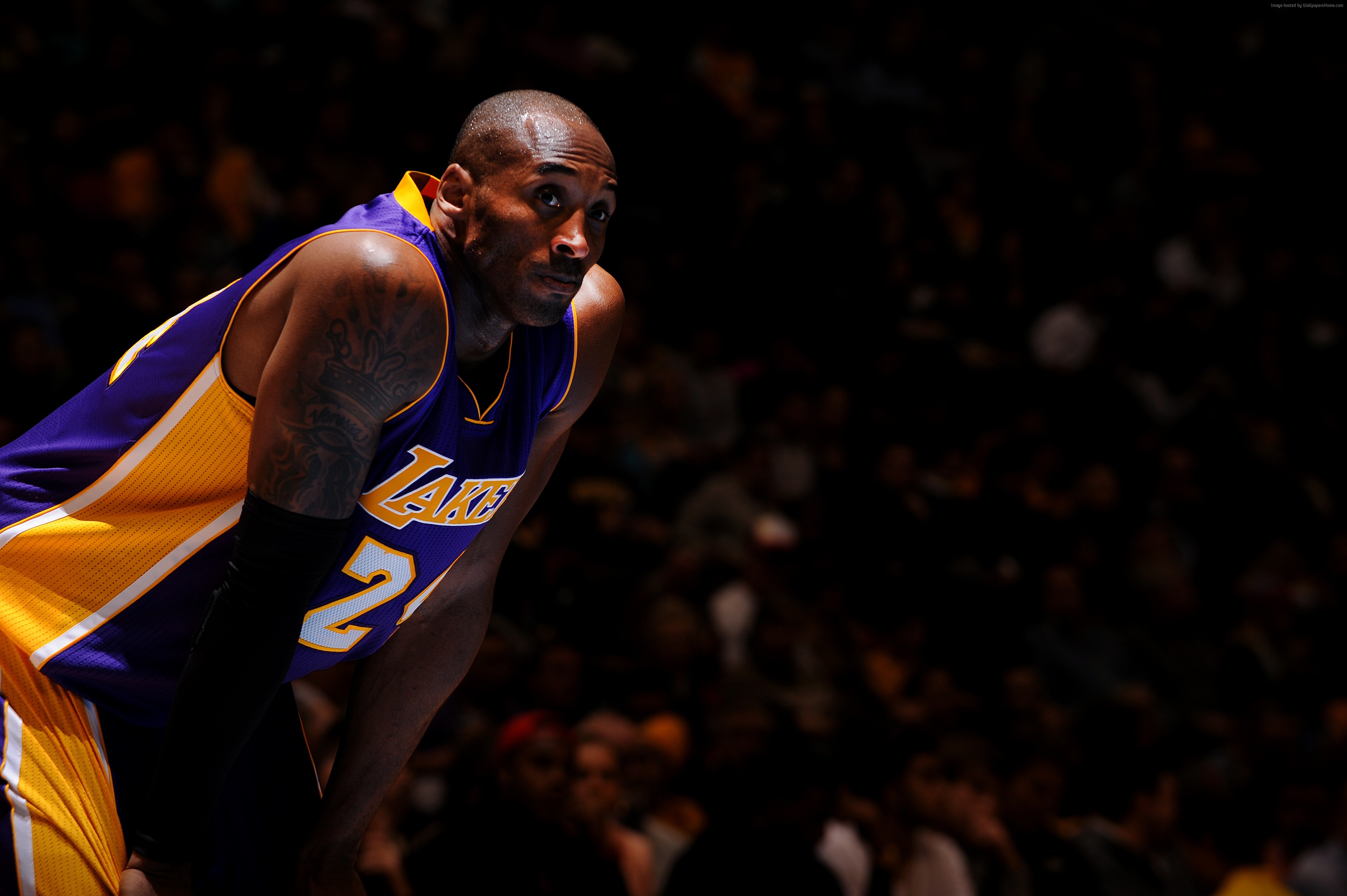 #los Angeles Lakers, #kobe Bryant, #shooting Guard, , HD Wallpaper & Backgrounds