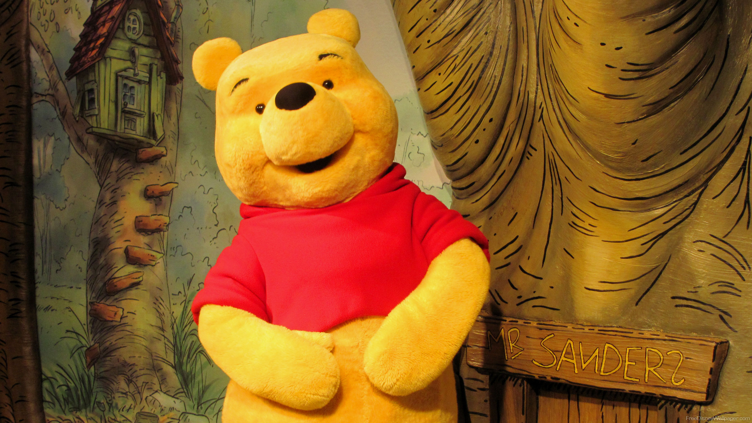 Winnie The Pooh - Winnie-the-pooh , HD Wallpaper & Backgrounds