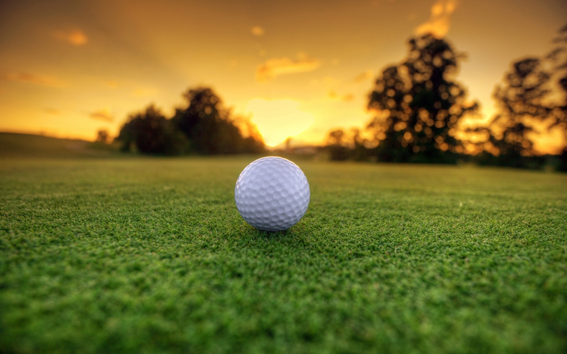 Photo Wallpaper Grass, Landscape, Golf Ball, Sun Dawn - Golf Course , HD Wallpaper & Backgrounds