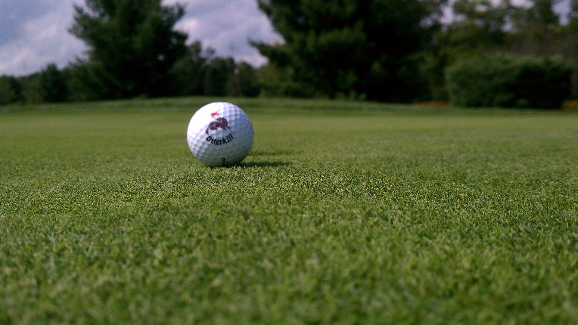 Wallpaper Golf Ball, Sports, Grass Field - Lawn , HD Wallpaper & Backgrounds