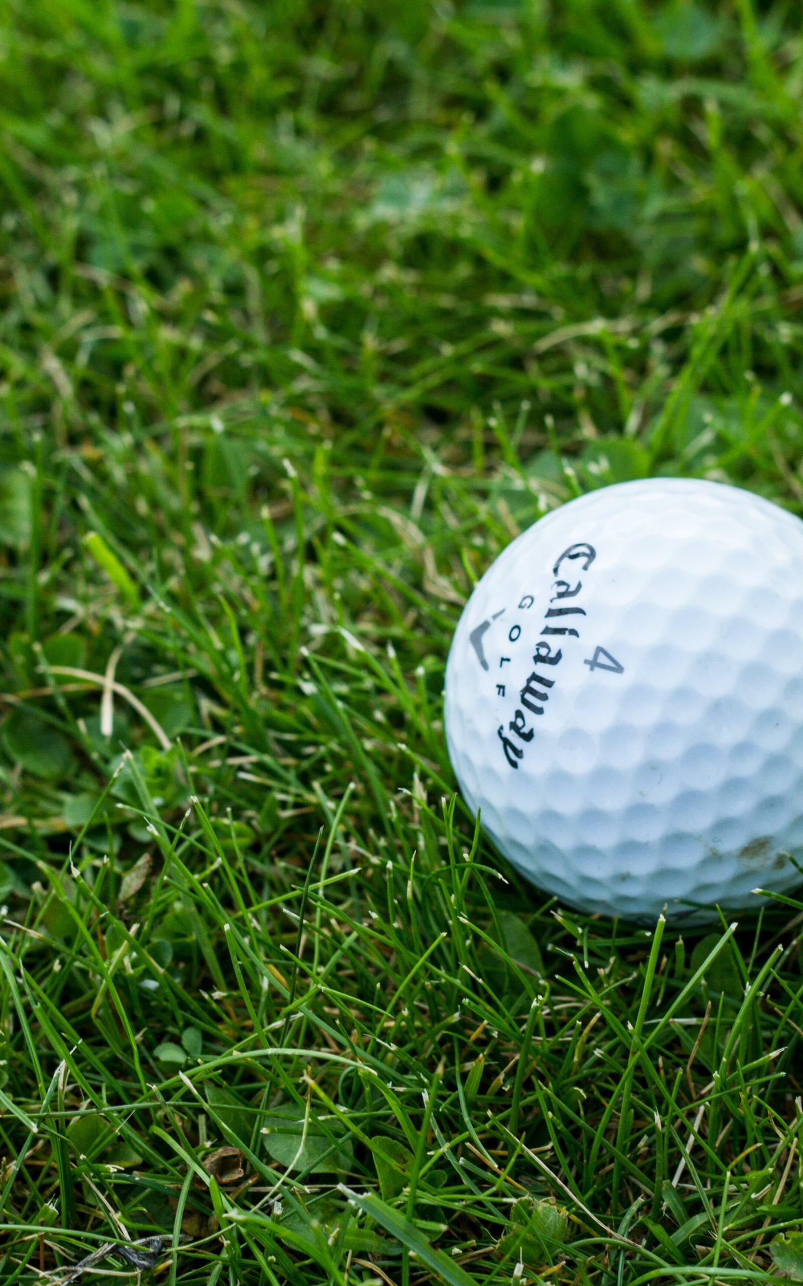 Golf Ball, Close-up, Leaves, Grass - Golf Ball Wallpaper Iphone , HD Wallpaper & Backgrounds