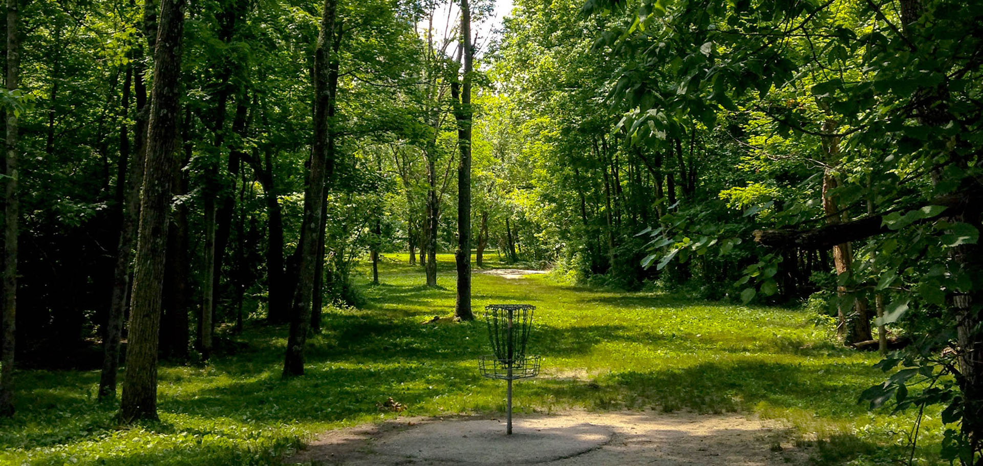 In The Forrest - Disc Golf Woods , HD Wallpaper & Backgrounds