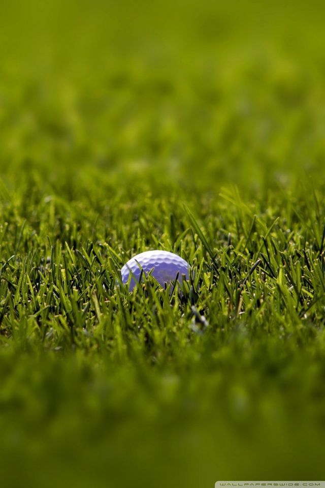 Golf Ball Macro Hd Desktop Wallpaper , HD Wallpaper & Backgrounds