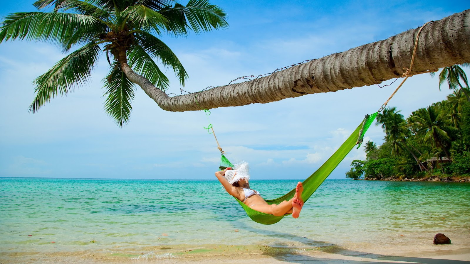Summer Holiday - Costa Rica Beach Hammock , HD Wallpaper & Backgrounds
