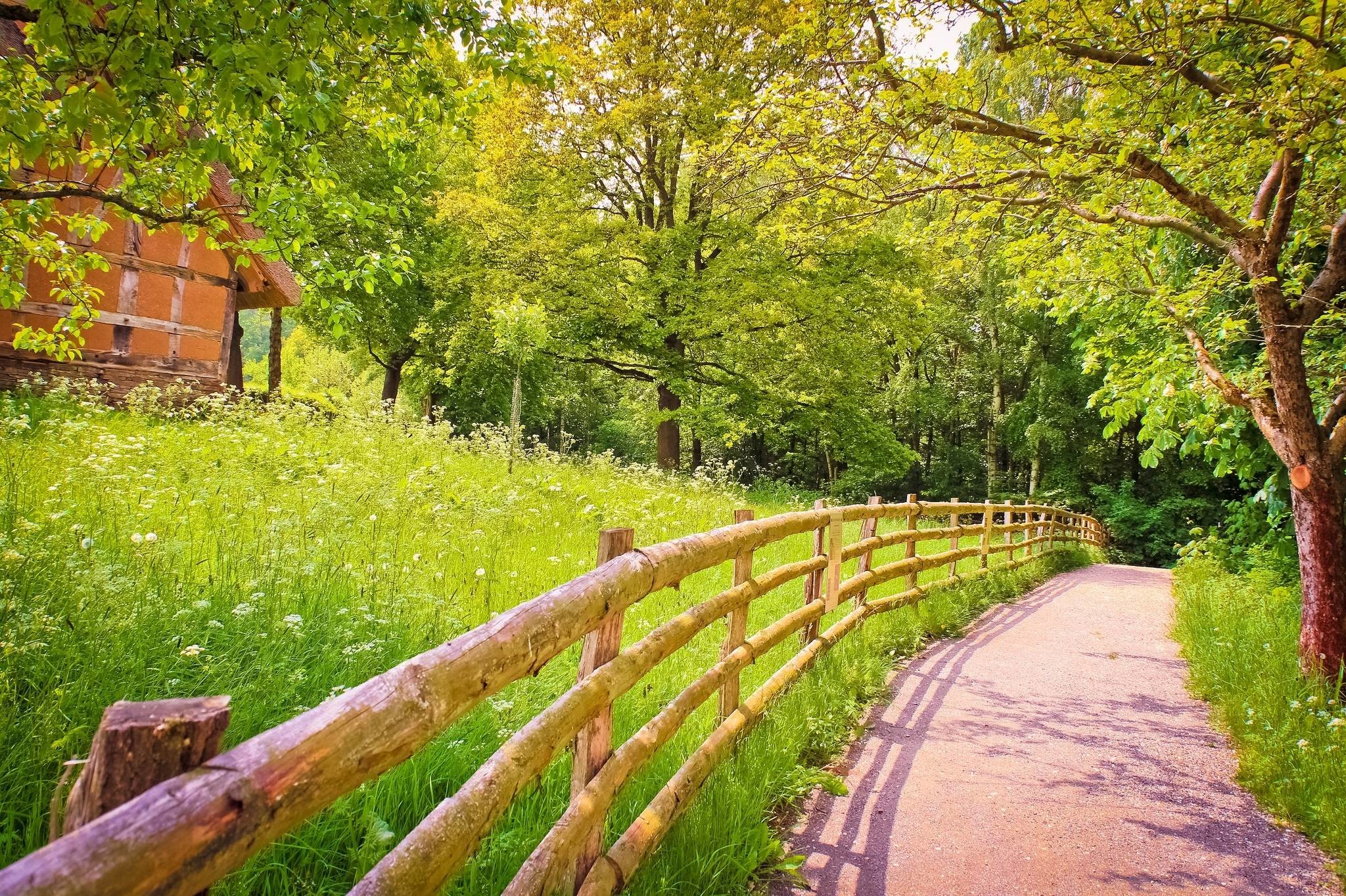 Holiday Desktop Wallpapers And Backgrounds  Summer Nature (#2091765 Holiday Desktop Wallpapers And Backgrounds  Summer Nature (#2091765