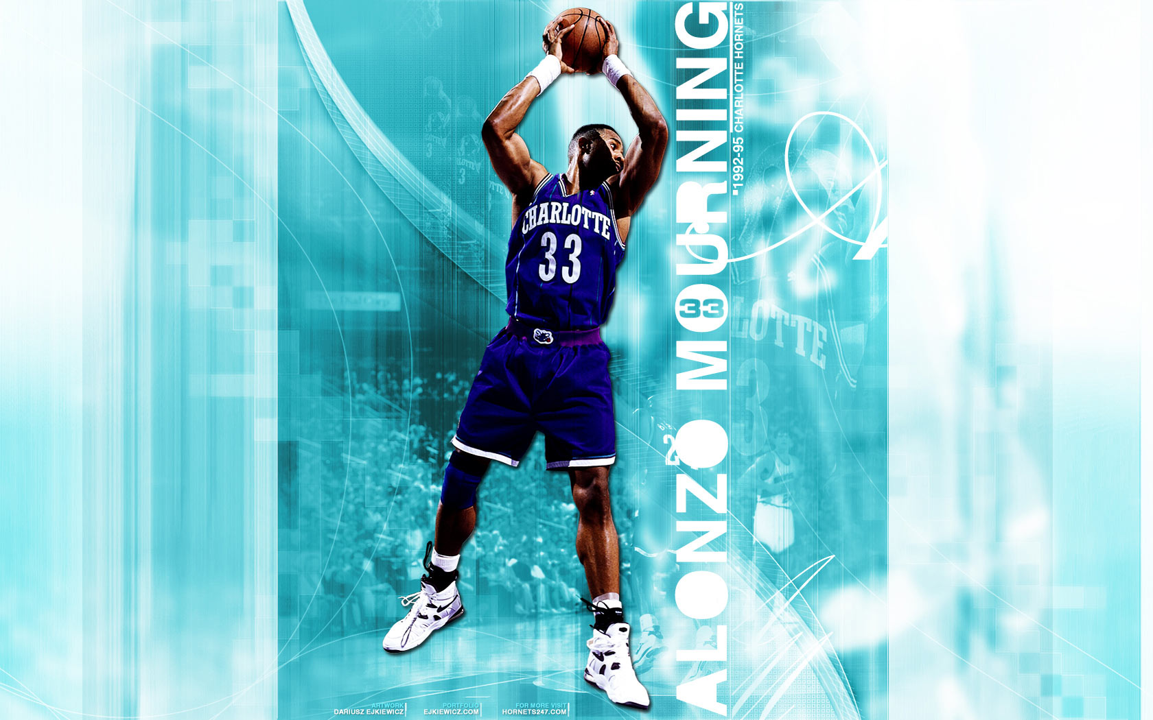 Alonzo Mourning Hornets Widescreen Wallpaper - Alonzo Mourning Hornets , HD Wallpaper & Backgrounds