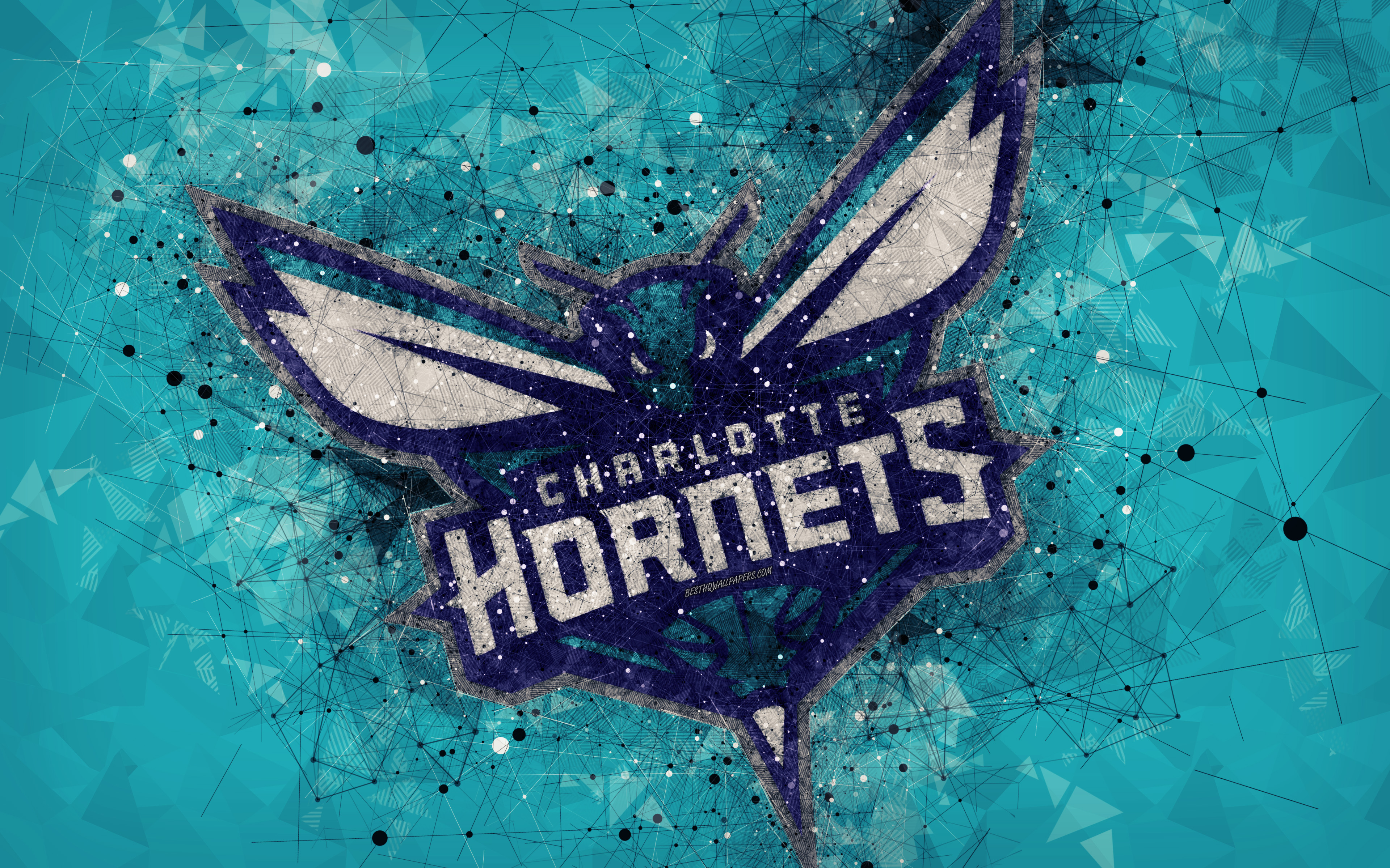 Charlotte Hornets 4k Creative Logo American Basketball 2094710 Hd Wallpaper Backgrounds Download