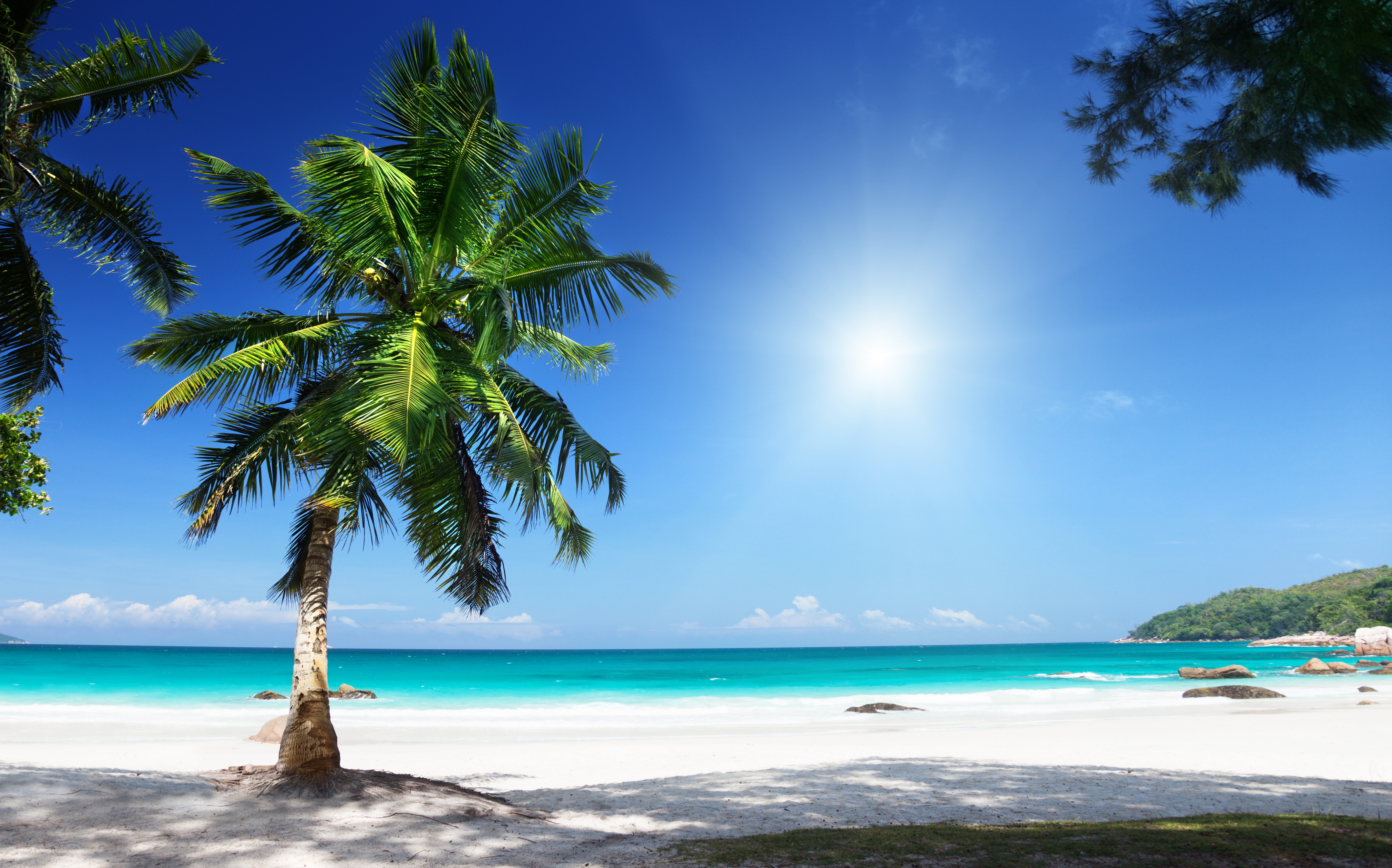 Top Collection Of Tropical Beach Wallpapers - Sunny Beach Wallpaper Hd , HD Wallpaper & Backgrounds
