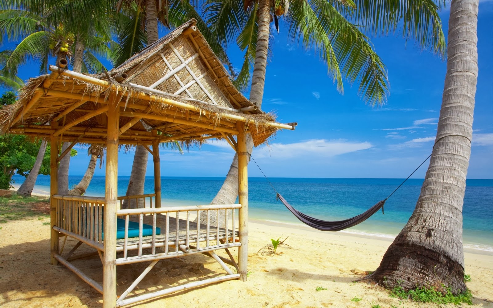 Tropical Beach Wallpapers - Tropical Beach Resort Hd , HD Wallpaper & Backgrounds