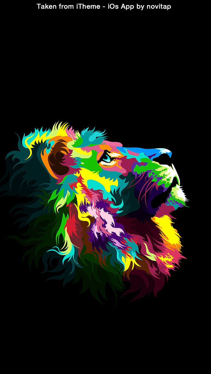 Lion Colour Wallpaper Iphone , HD Wallpaper & Backgrounds