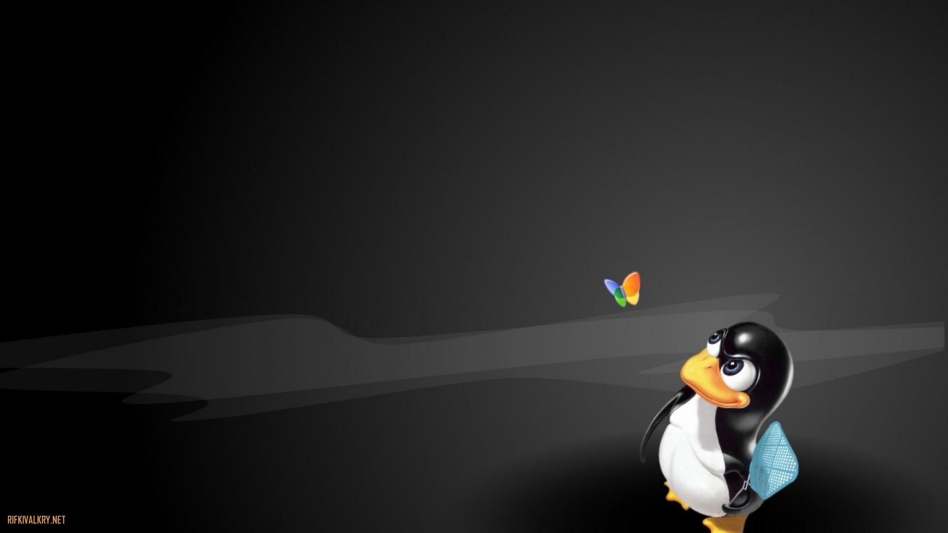 Linux Penguin Wallpaper 4k , HD Wallpaper & Backgrounds