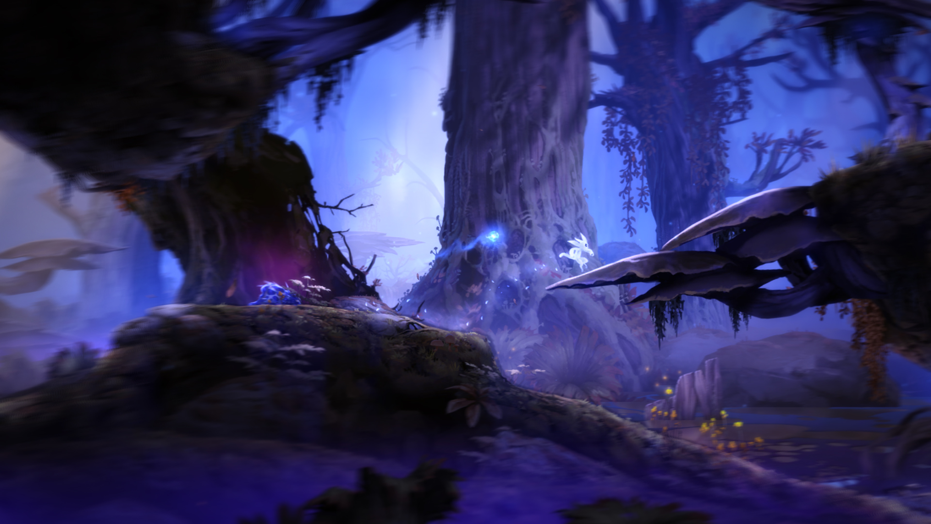 Ori And The Blind Forest Wallpapers - Ori And The Blind Forest , HD Wallpaper & Backgrounds