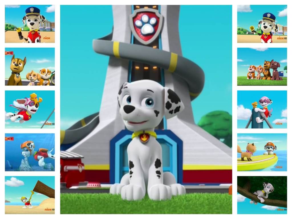 Paw Patrol Wallpaper 1600×1200 Paw Patrol Wallpaper - Paw Patrol Marshall Pup , HD Wallpaper & Backgrounds