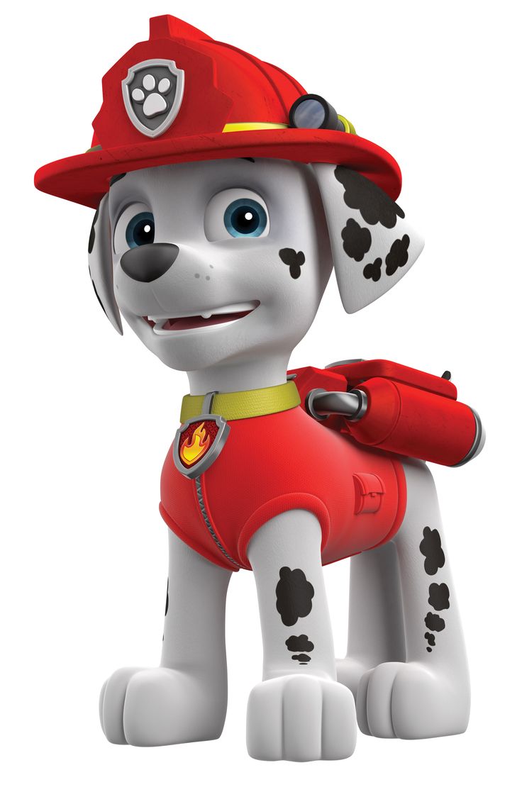 Paw Patrol , Wallpapers And Pictures Graphics - Marshall Paw Patrol Characters , HD Wallpaper & Backgrounds