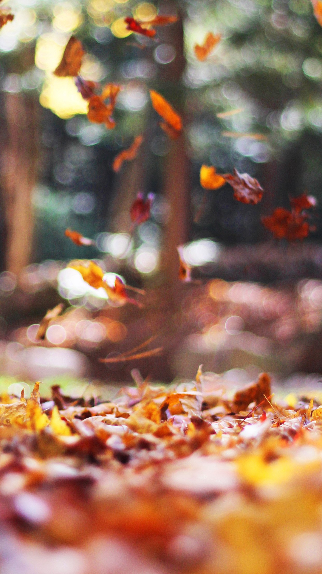 Download - Fall Leaves Iphone 6 , HD Wallpaper & Backgrounds