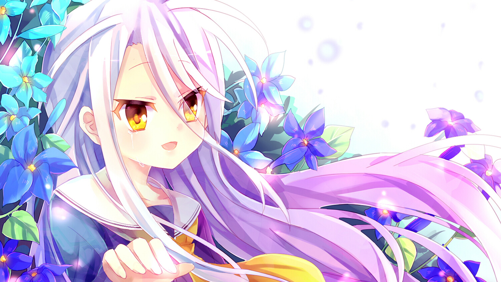 No Game No Life Wallpaper , HD Wallpaper & Backgrounds