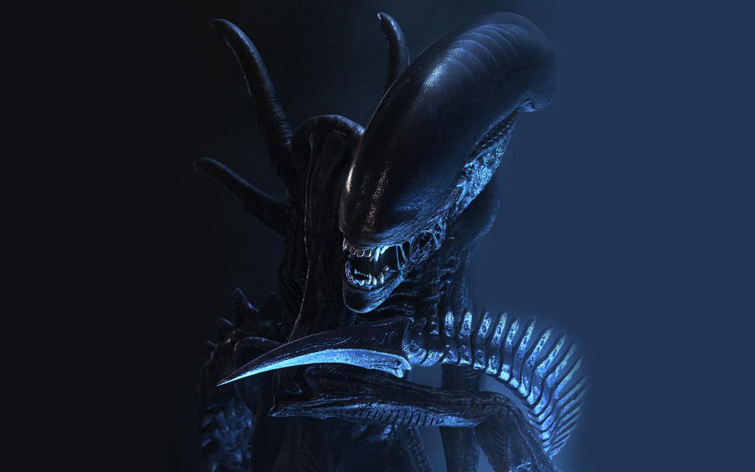 / Size - Alien Vs Predator , HD Wallpaper & Backgrounds