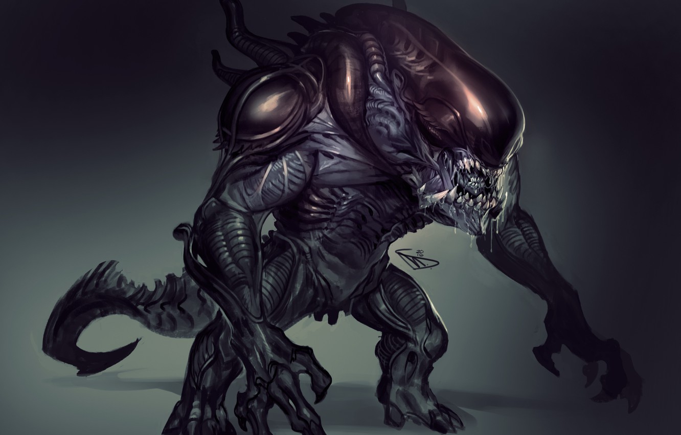 Photo Wallpaper Stranger, Alien, Alien, Xenomorph - Xenomorph Star Wars , HD Wallpaper & Backgrounds