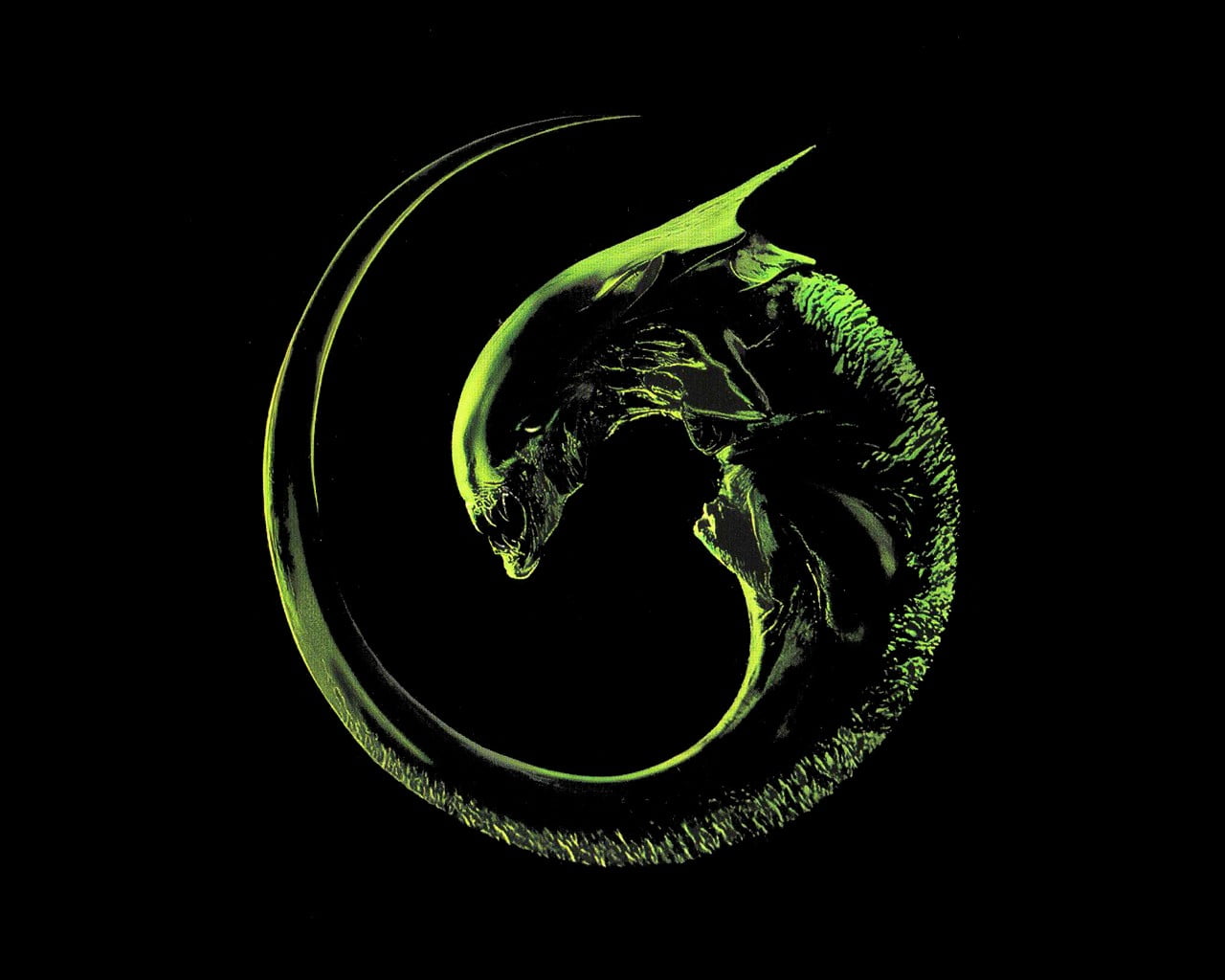 Alien Xenomorph Wallpaper - Alien 3 Logo , HD Wallpaper & Backgrounds