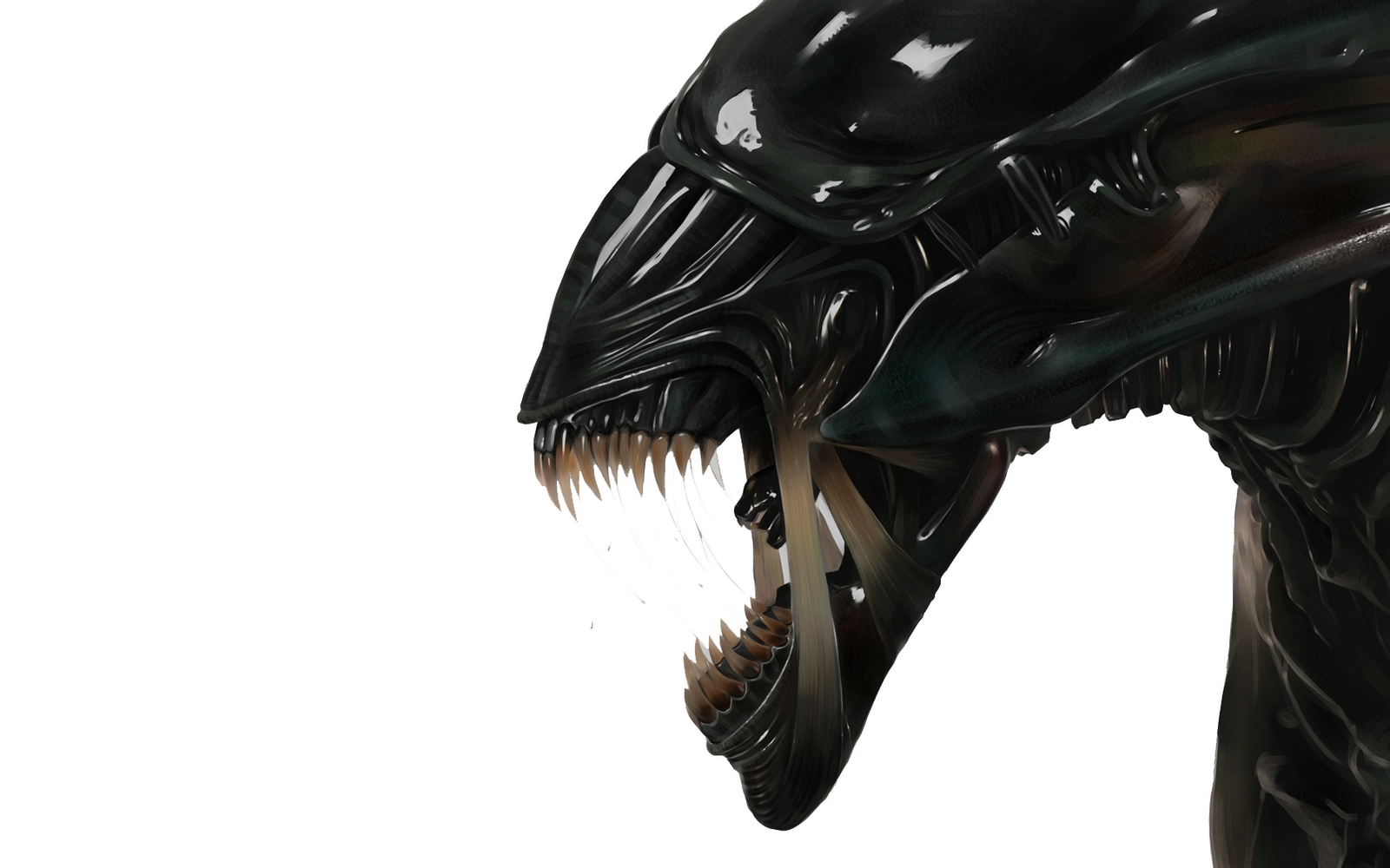 Xenomorph Wallpaper - Alien Queen , HD Wallpaper & Backgrounds