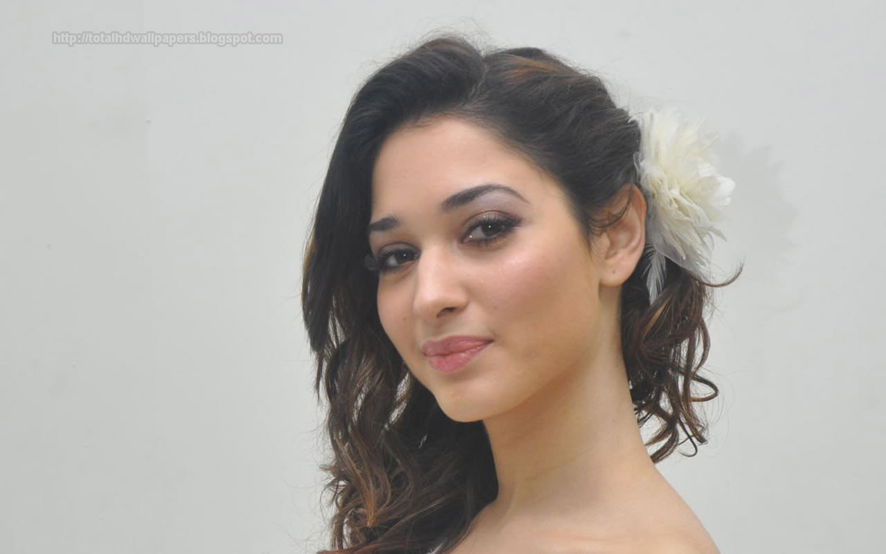 South Indian Actress Wallpaper - Photo Shoot , HD Wallpaper & Backgrounds