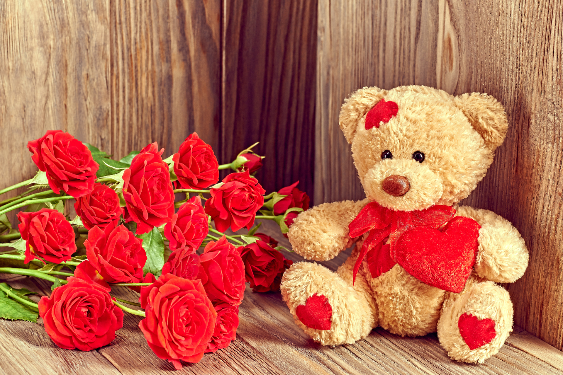 Red Roses Cute Teddy Bear Picture Background Wallpaper , HD Wallpaper & Backgrounds