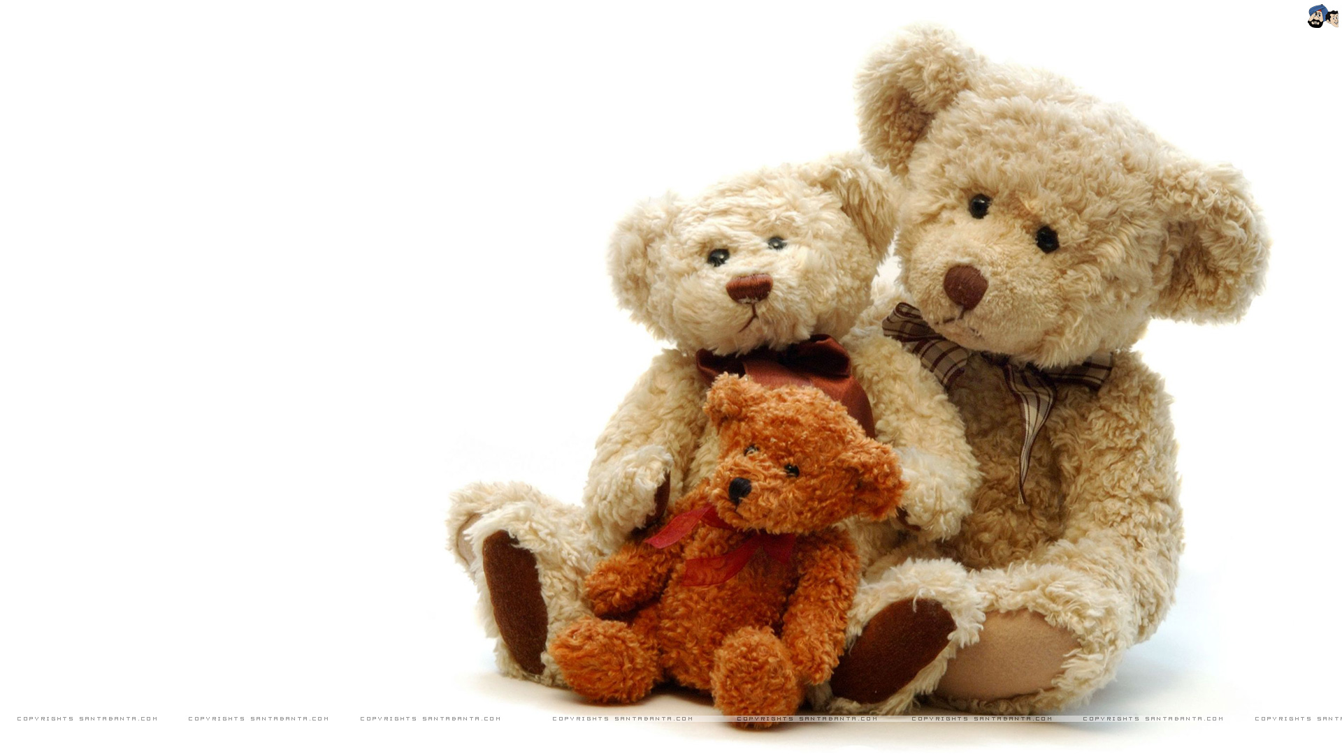 Cute Teddy Bear - Teddy Day For Hubby , HD Wallpaper & Backgrounds