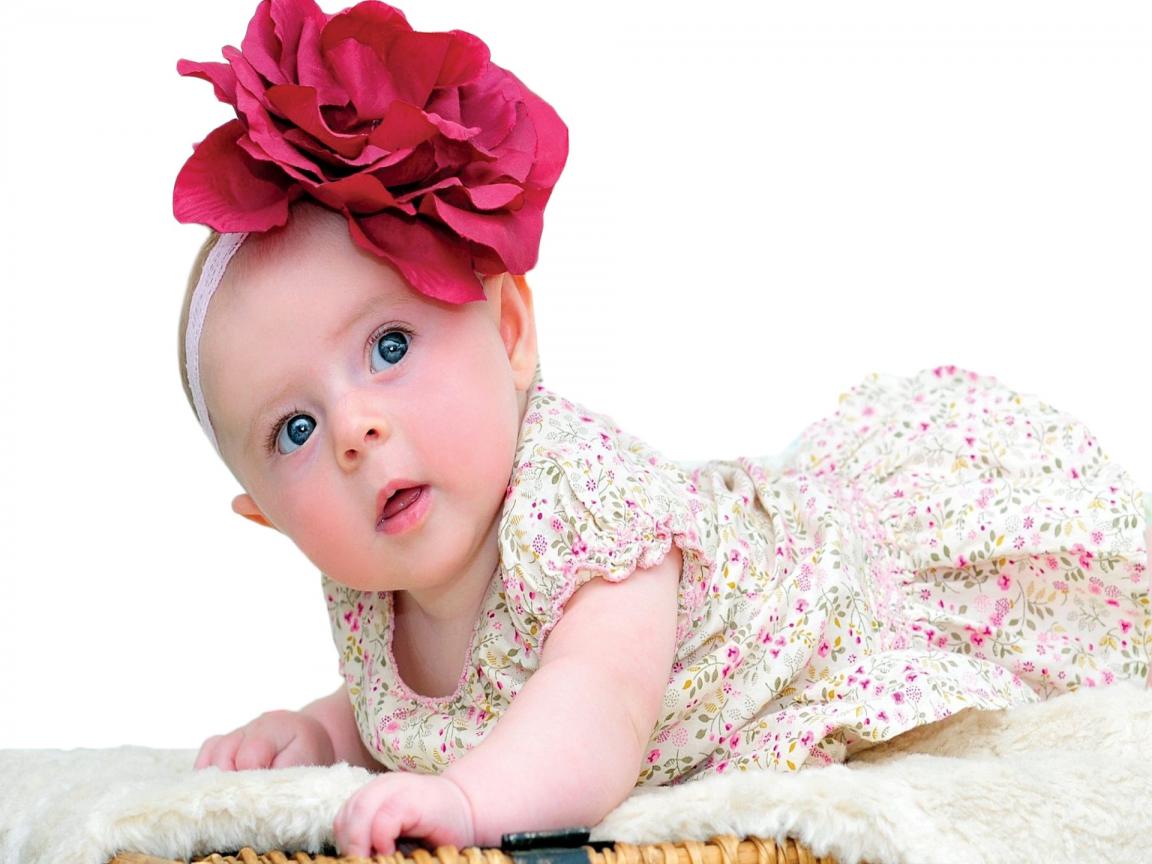 Cute Baby In Flower , HD Wallpaper & Backgrounds