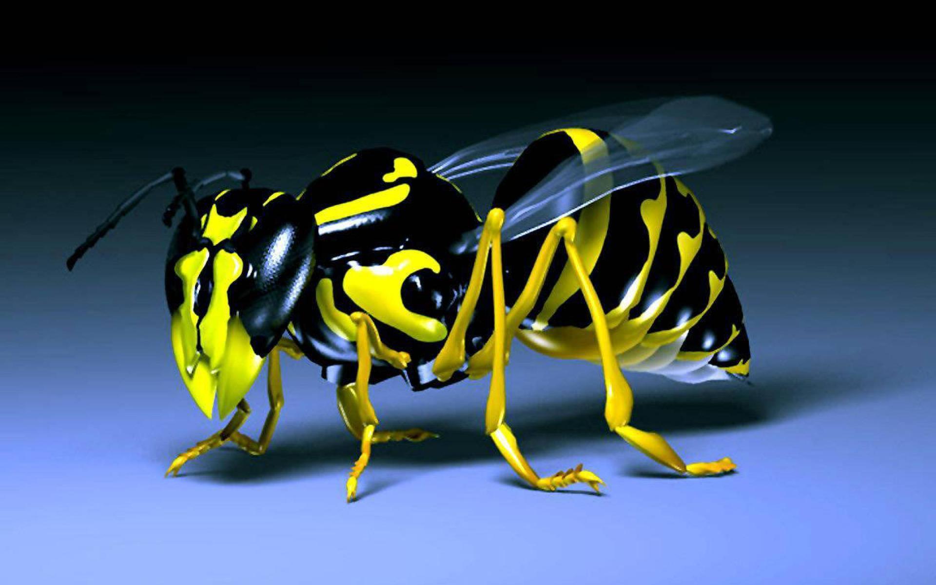 3d Hd Wallpapers Full Hd Wallpaper 3d 219947 Hd Wallpaper