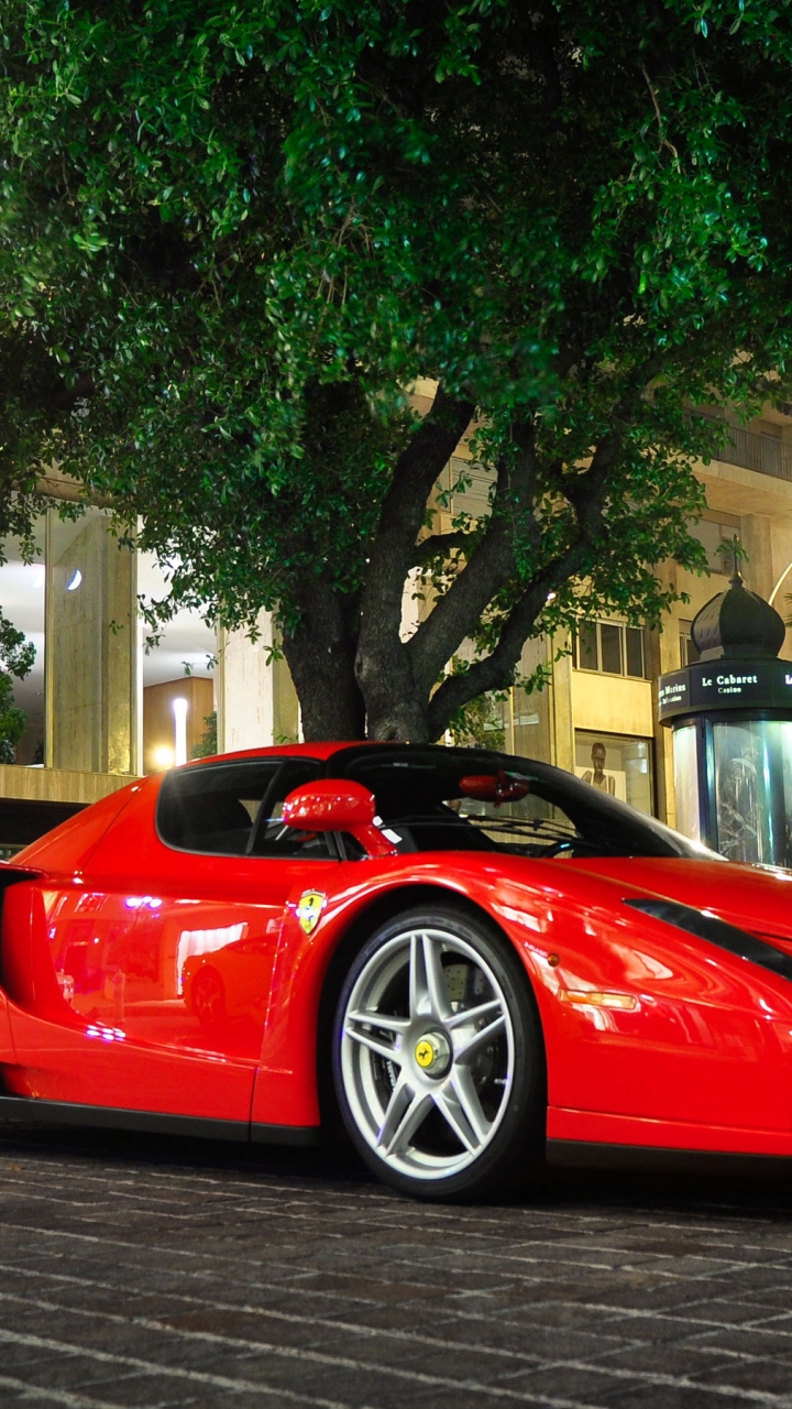 Ferrari Enzo Wallpaper - Car Wallpaper Hd Download , HD Wallpaper & Backgrounds