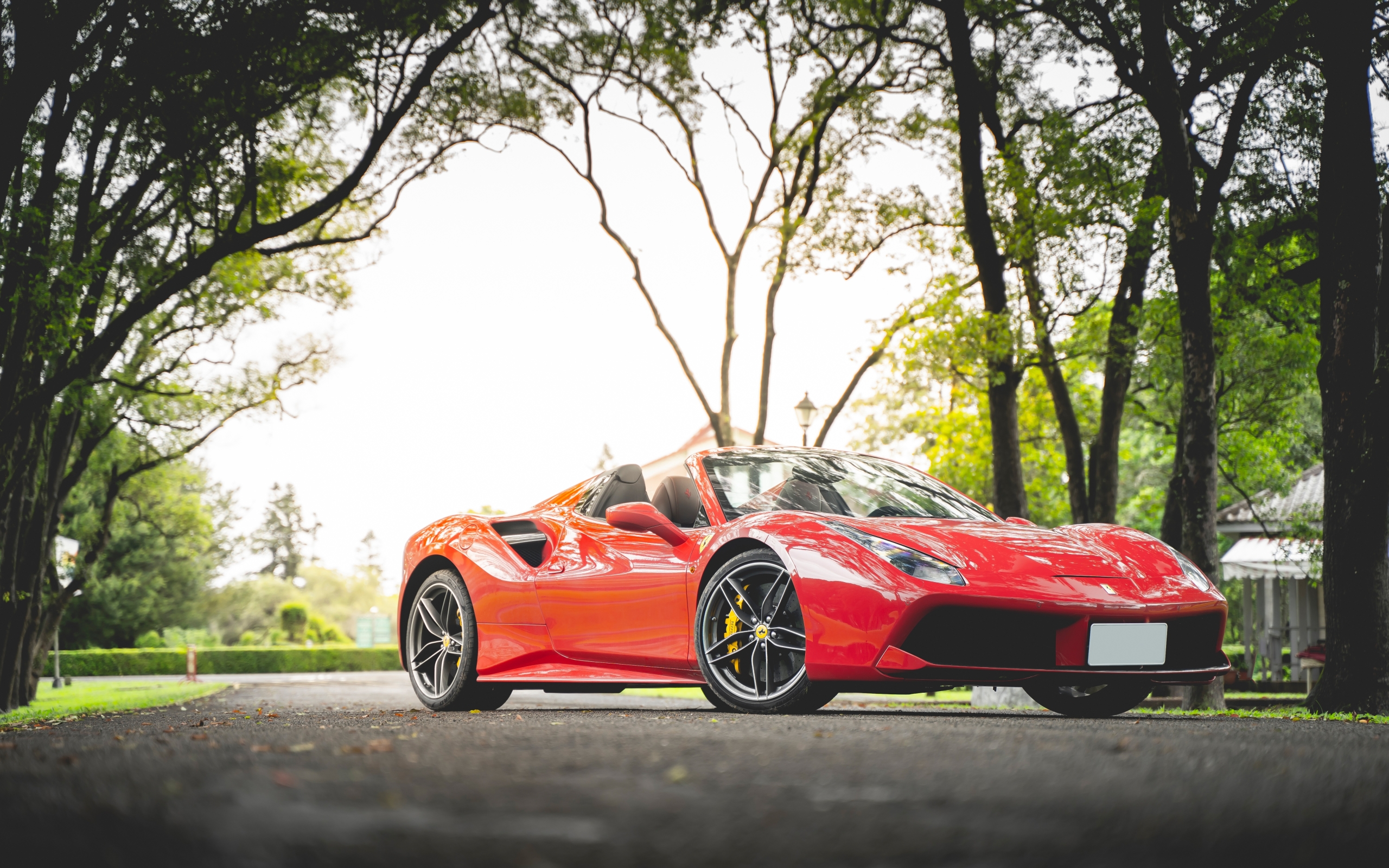 Wallpaper Of Ferrari, Ferrari 488 Spider, Red, Car, - Ferrari 458 , HD Wallpaper & Backgrounds