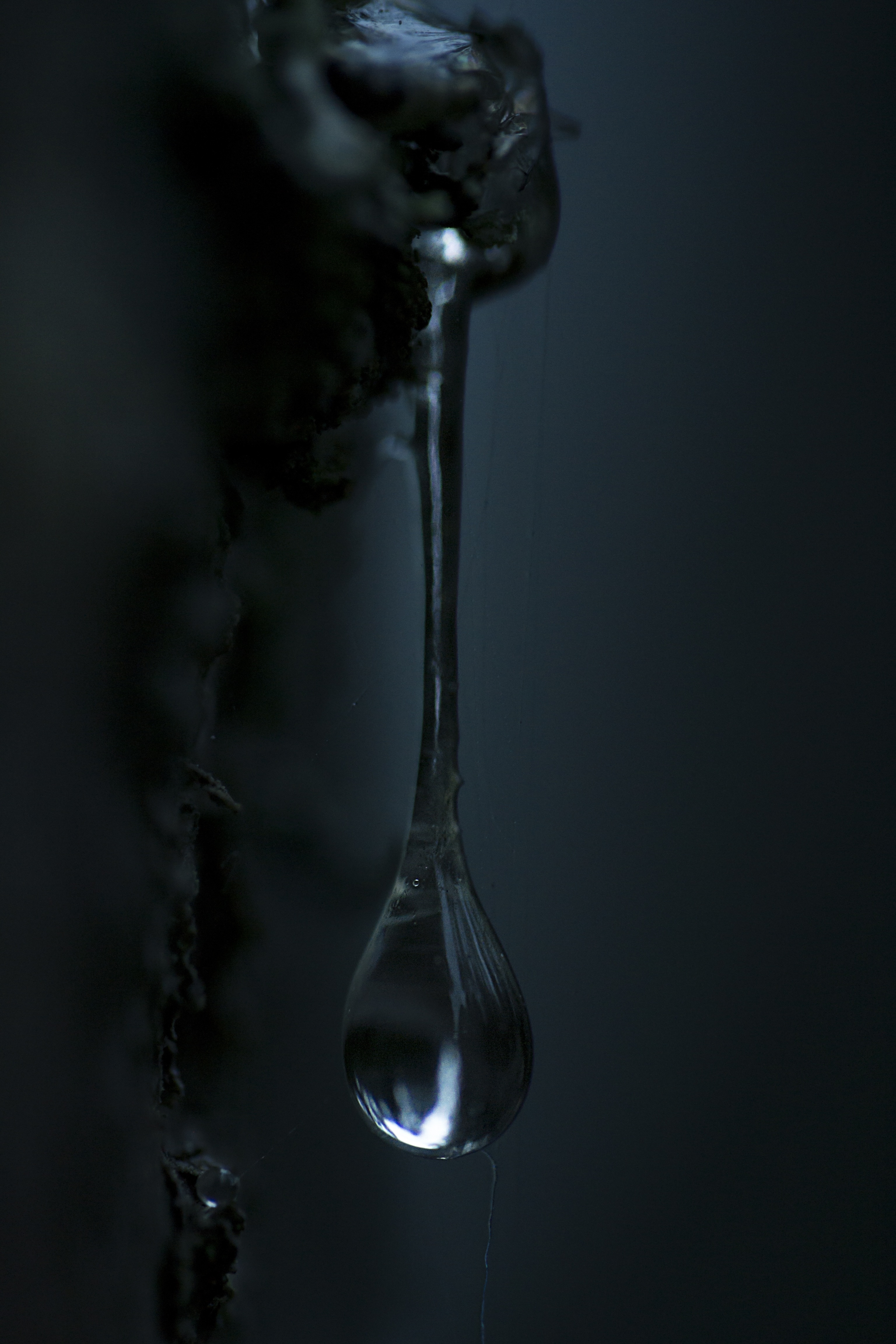 Water Drops , HD Wallpaper & Backgrounds