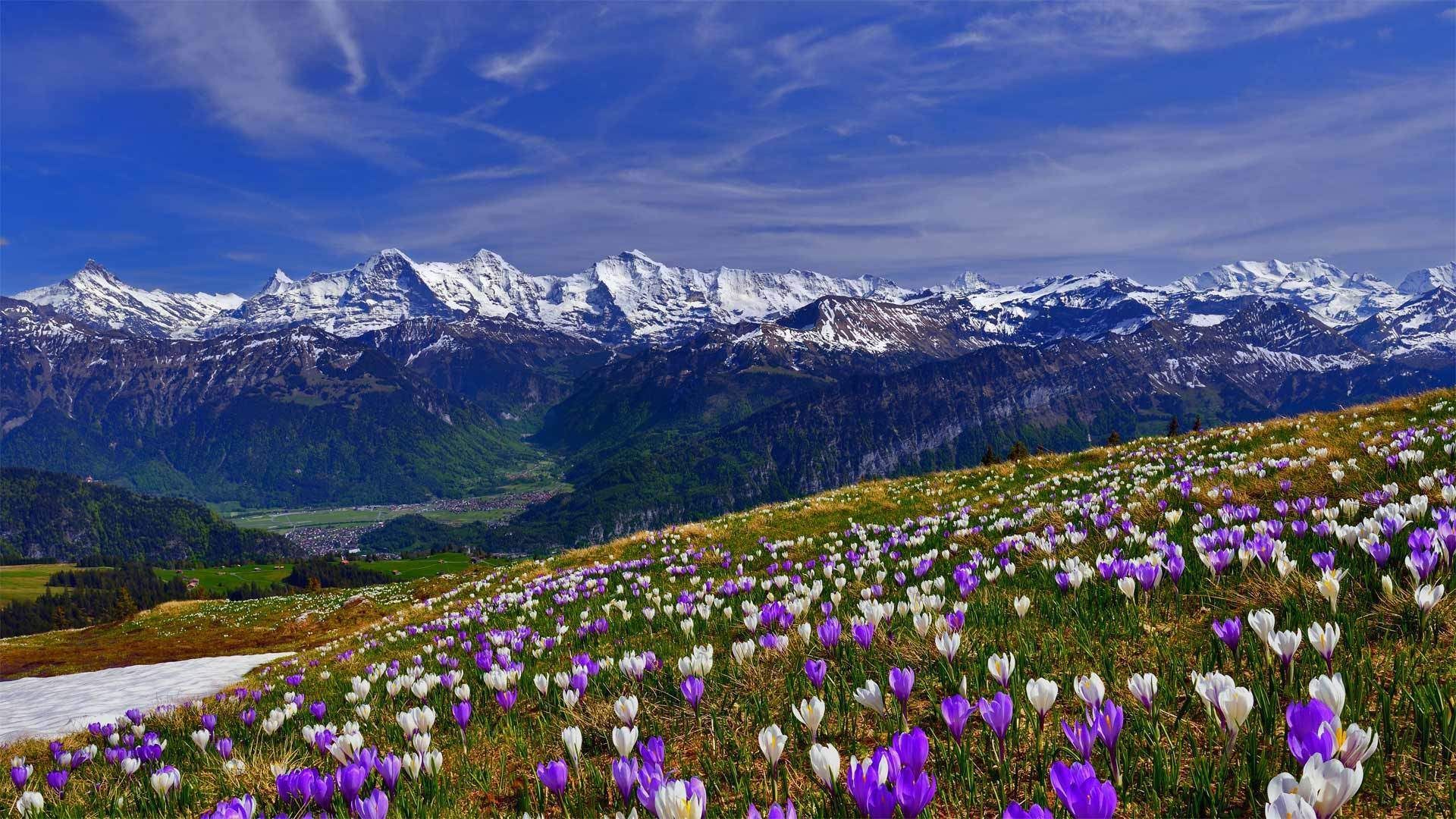 Spring Desktop Wallpaper Hd > - Spring Mountain Wallpaper Hd , HD Wallpaper & Backgrounds