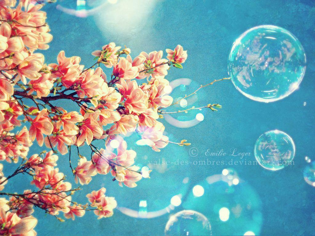 Wallpapers For > Cute Spring Desktop Backgrounds - 7 Days Until Spring , HD Wallpaper & Backgrounds