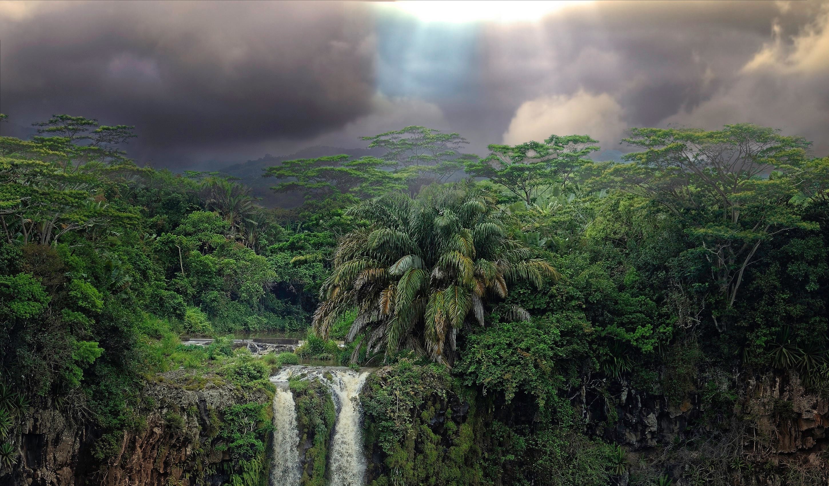 Tropical Rainforest Wallpaper 1920ãƒ 1200 Tropical - Mauritius Free , HD Wallpaper & Backgrounds