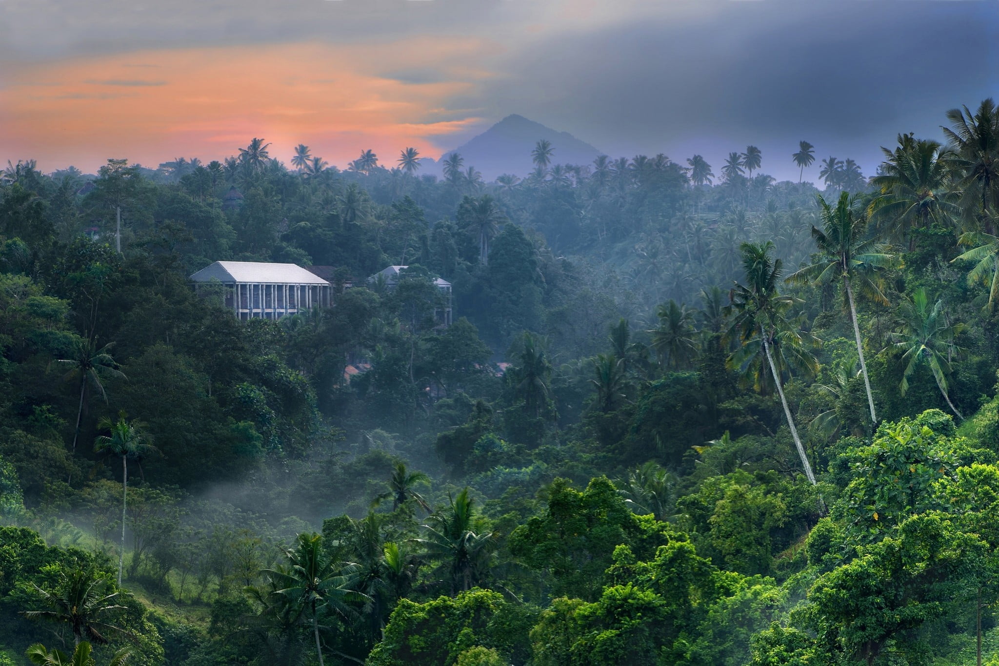 White Building On Dense Forest Digital Wallpaper, Nature, - Indonesia Jungle , HD Wallpaper & Backgrounds