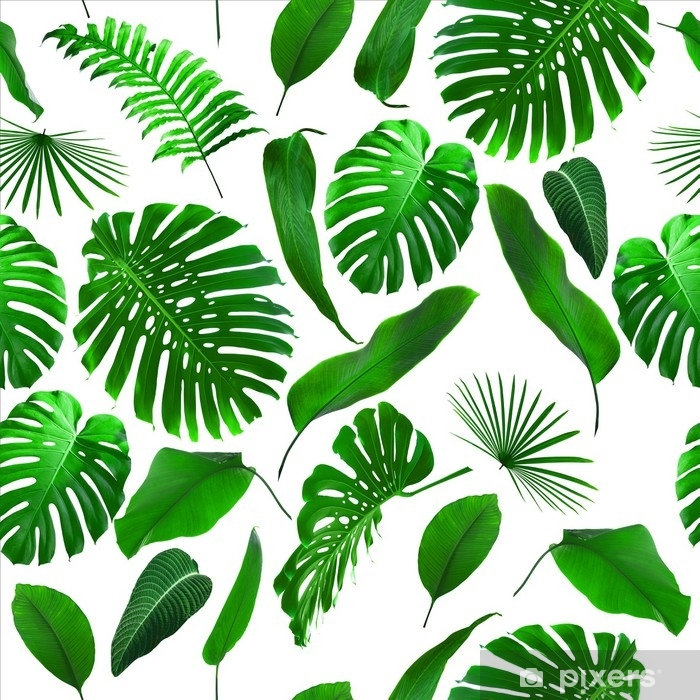 Seamless Tropical Jungle Leaves Pattern Vinyl Wall - Tropical Jungle Leaves , HD Wallpaper & Backgrounds