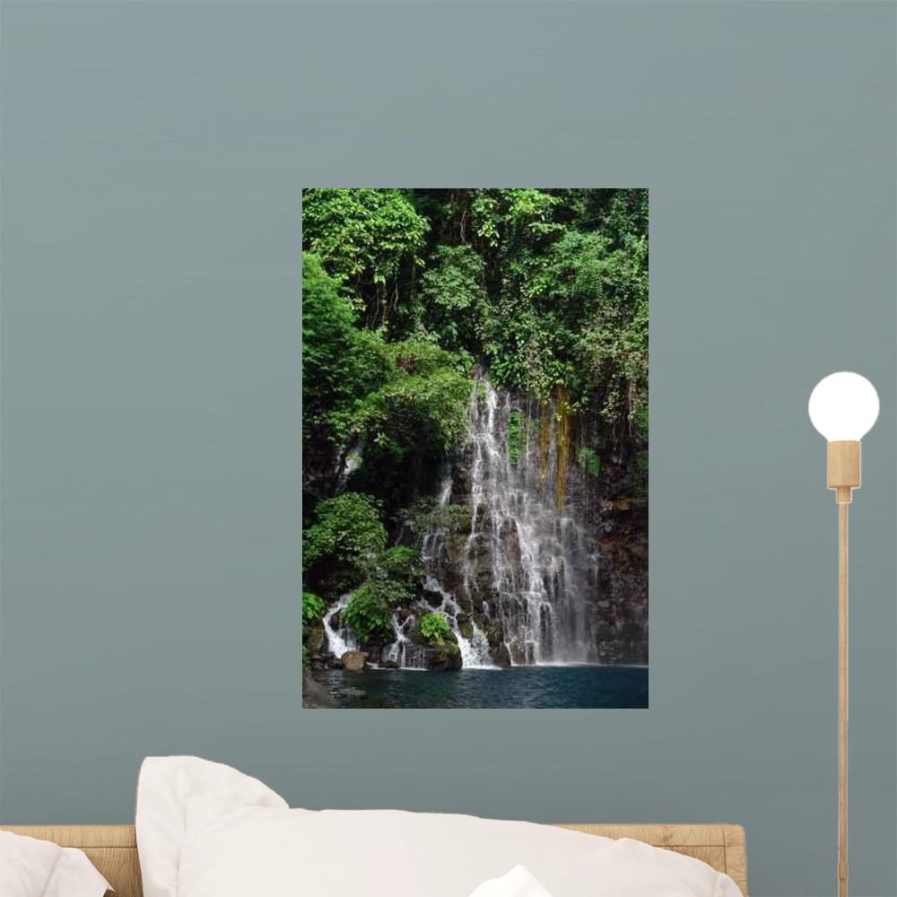 Jungle , HD Wallpaper & Backgrounds