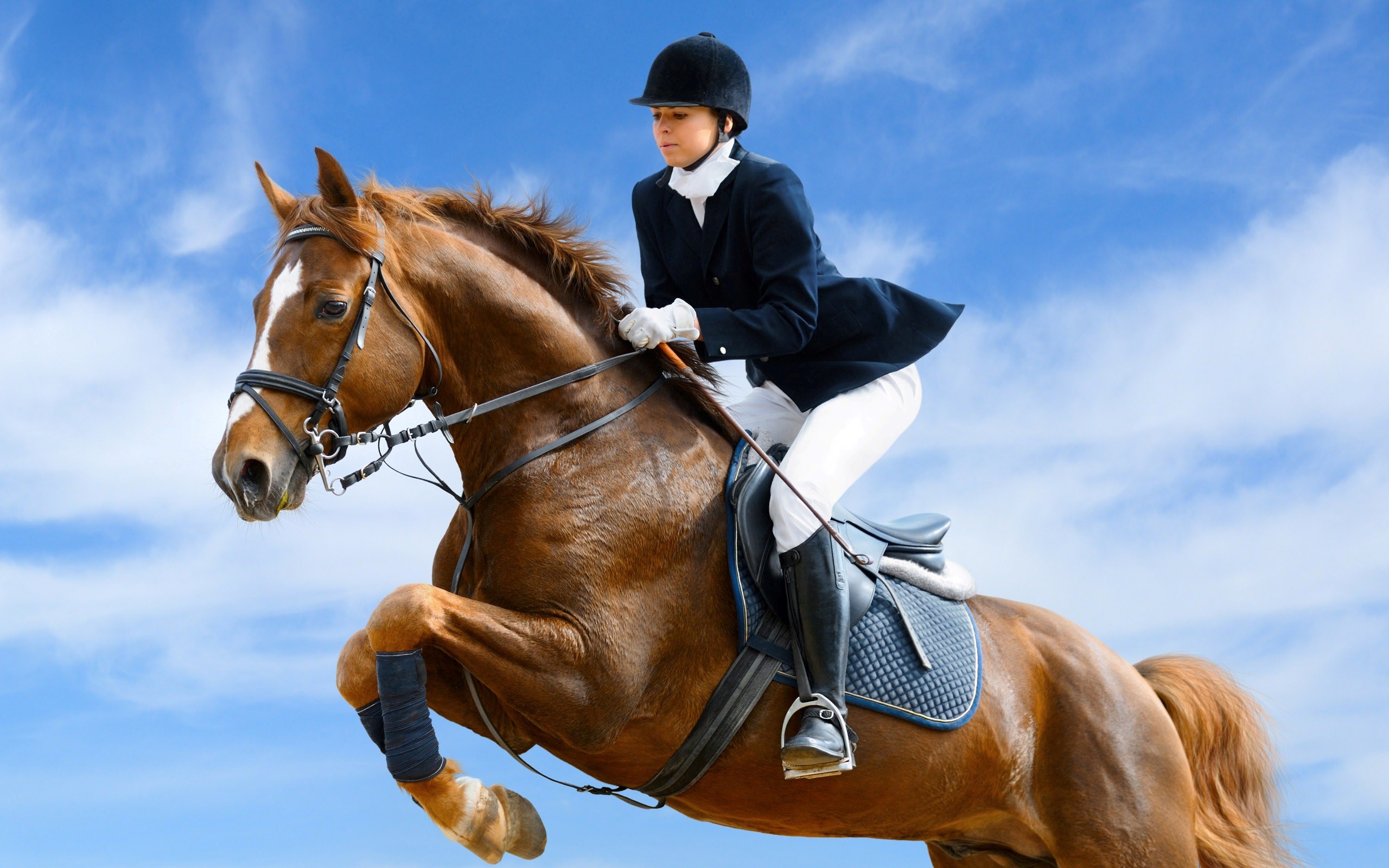 Horse Riding , HD Wallpaper & Backgrounds