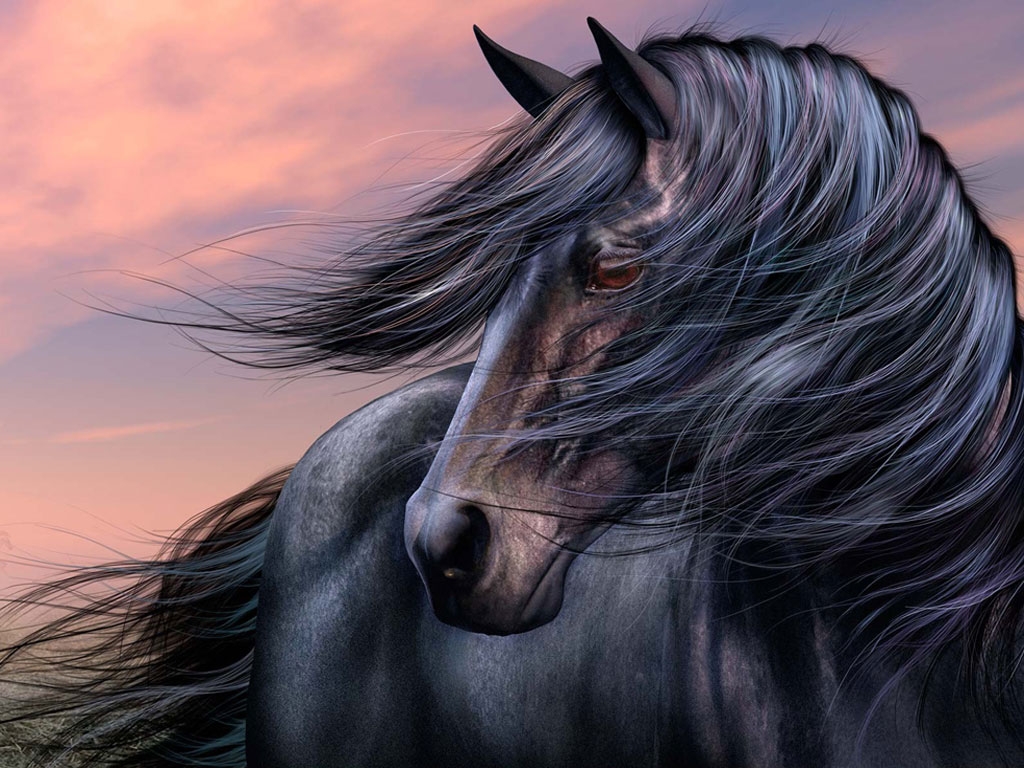 The Sad Horse Wallpaper Horse Horse - Good Morning Horse Gif , HD Wallpaper & Backgrounds