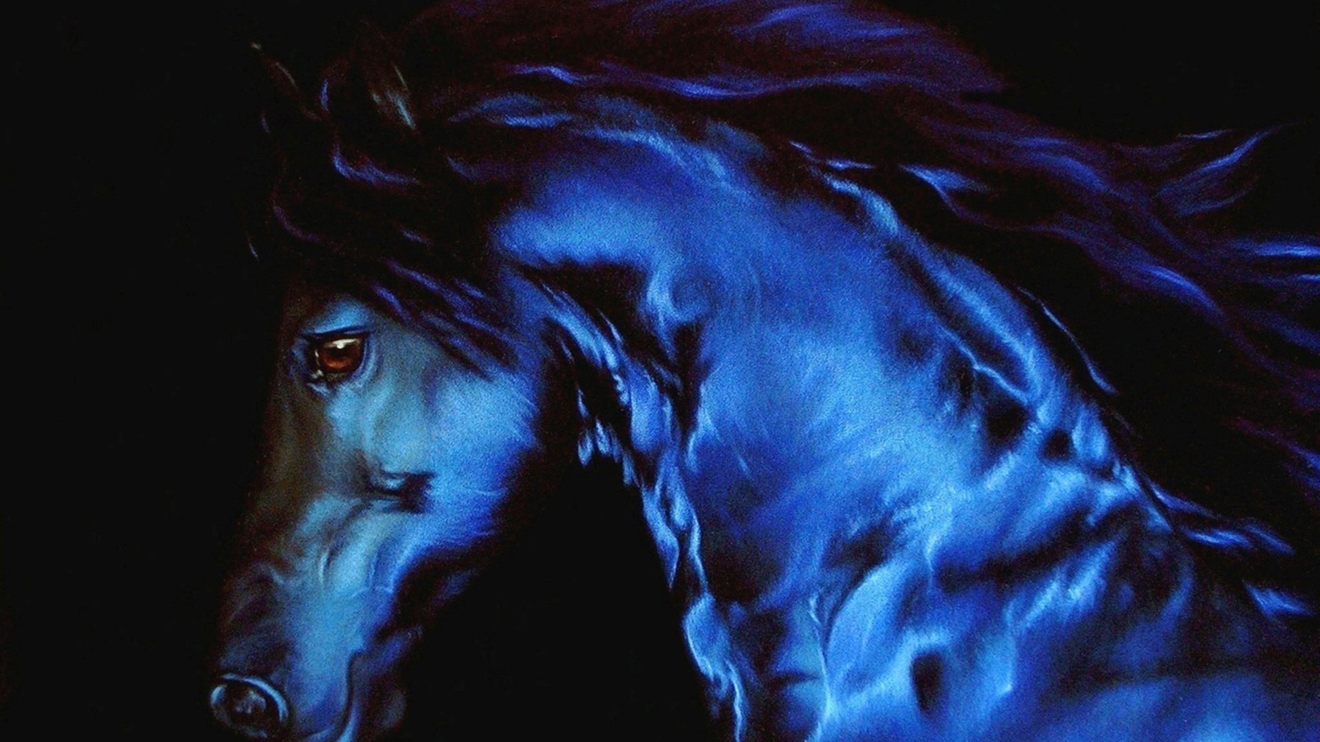 - - Blue And Black Horse , HD Wallpaper & Backgrounds