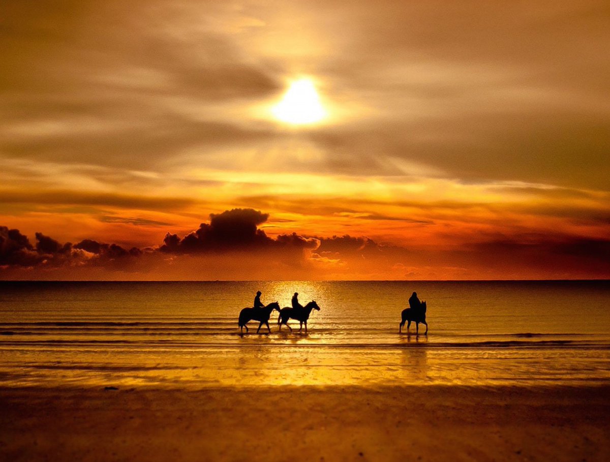 #beach Horse Riding Wallpaper - Horse Riding , HD Wallpaper & Backgrounds