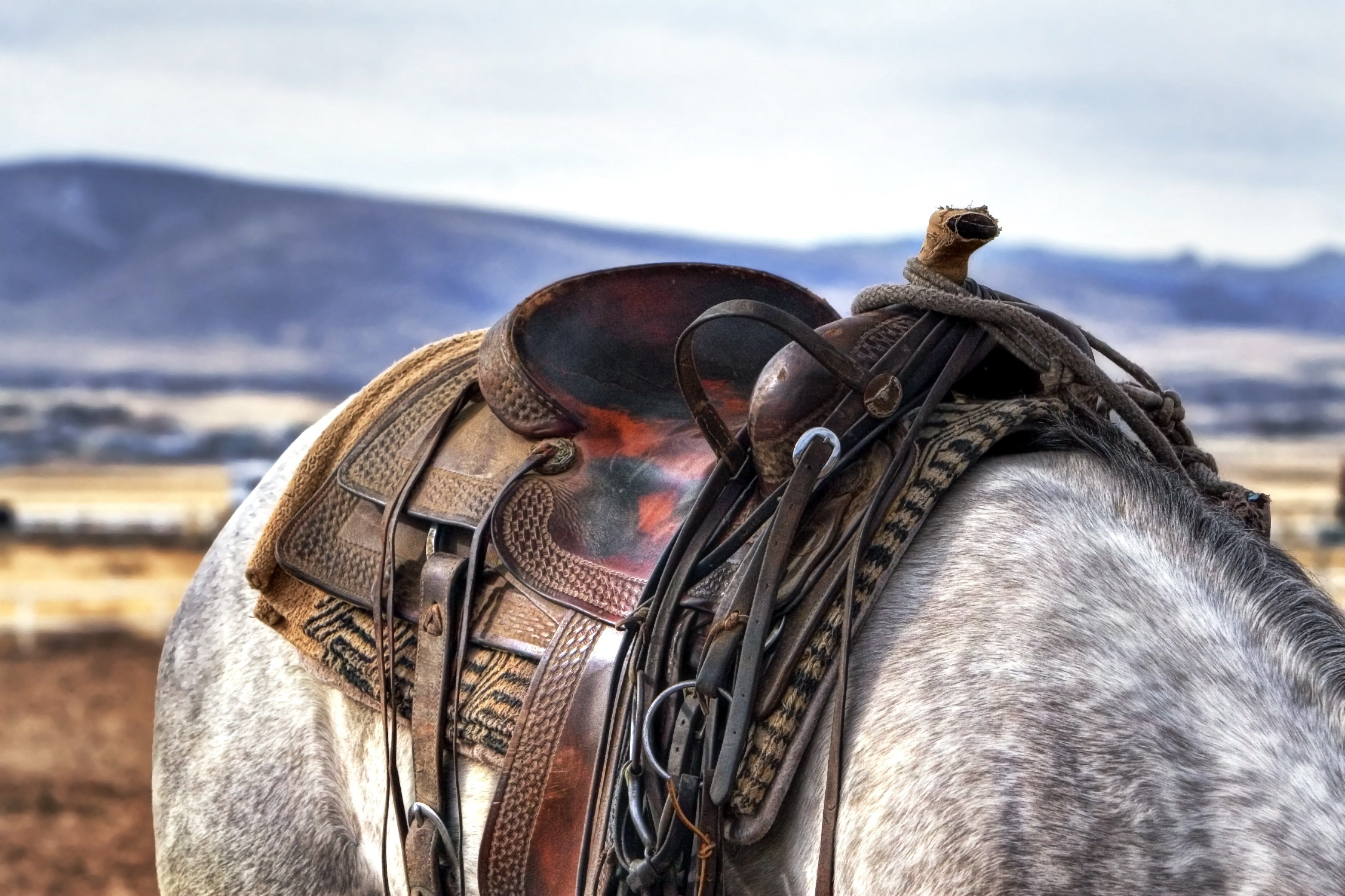 Horse Riding Hd Wallpapers Desktop Background > - Western Saddle , HD Wallpaper & Backgrounds