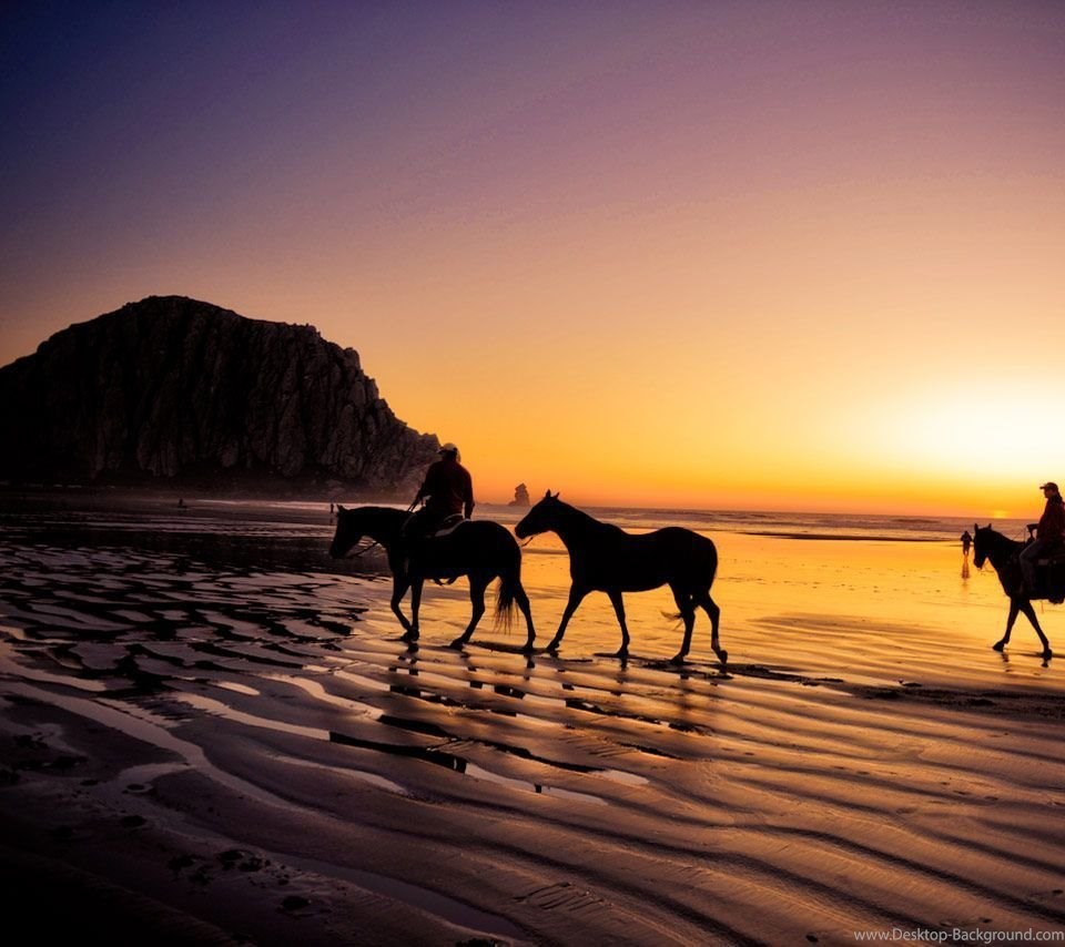Horses On The Beach Sunset , HD Wallpaper & Backgrounds