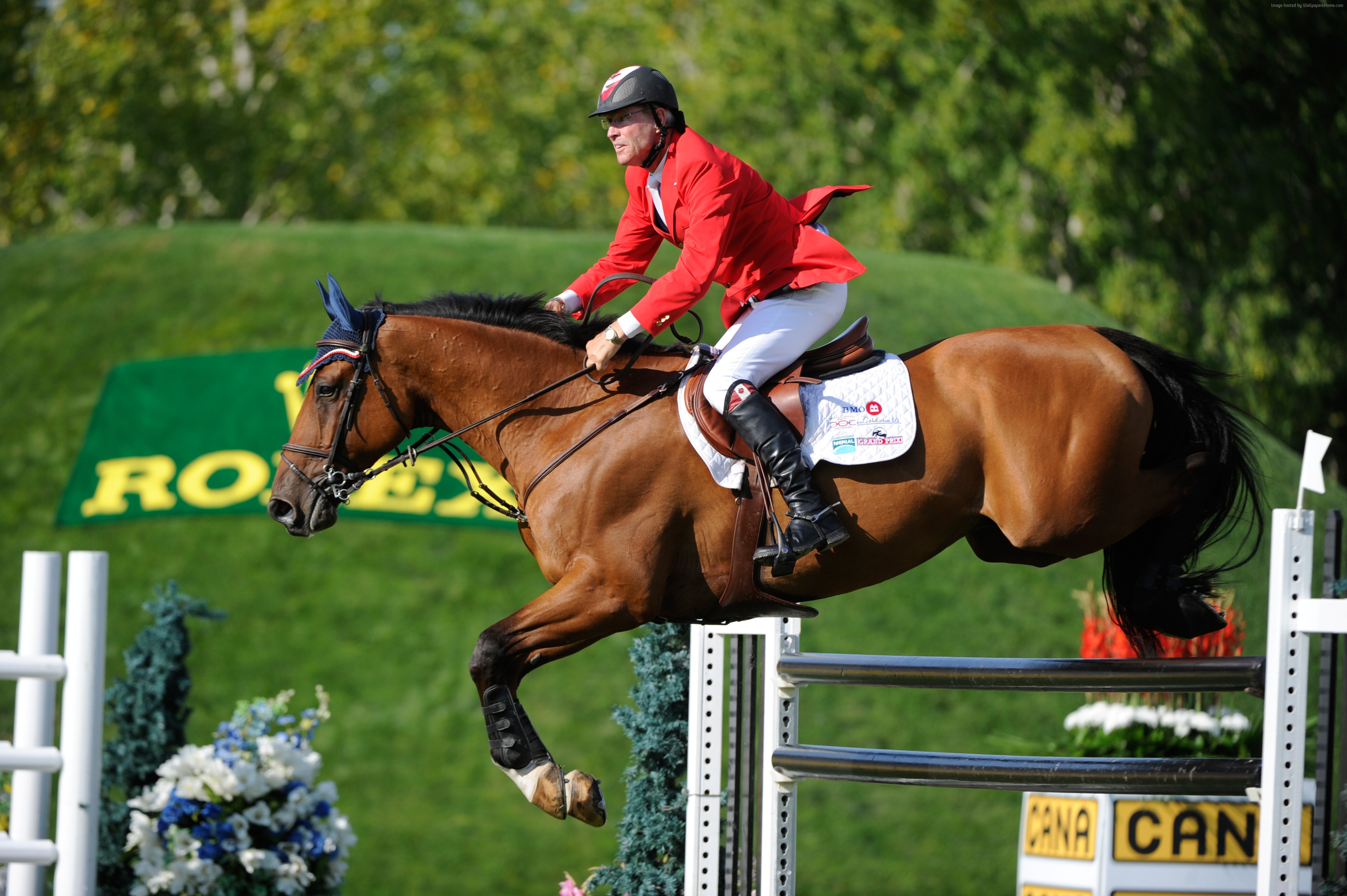 #man, #4k, #horse - Famous Olympic Horse Riders , HD Wallpaper & Backgrounds