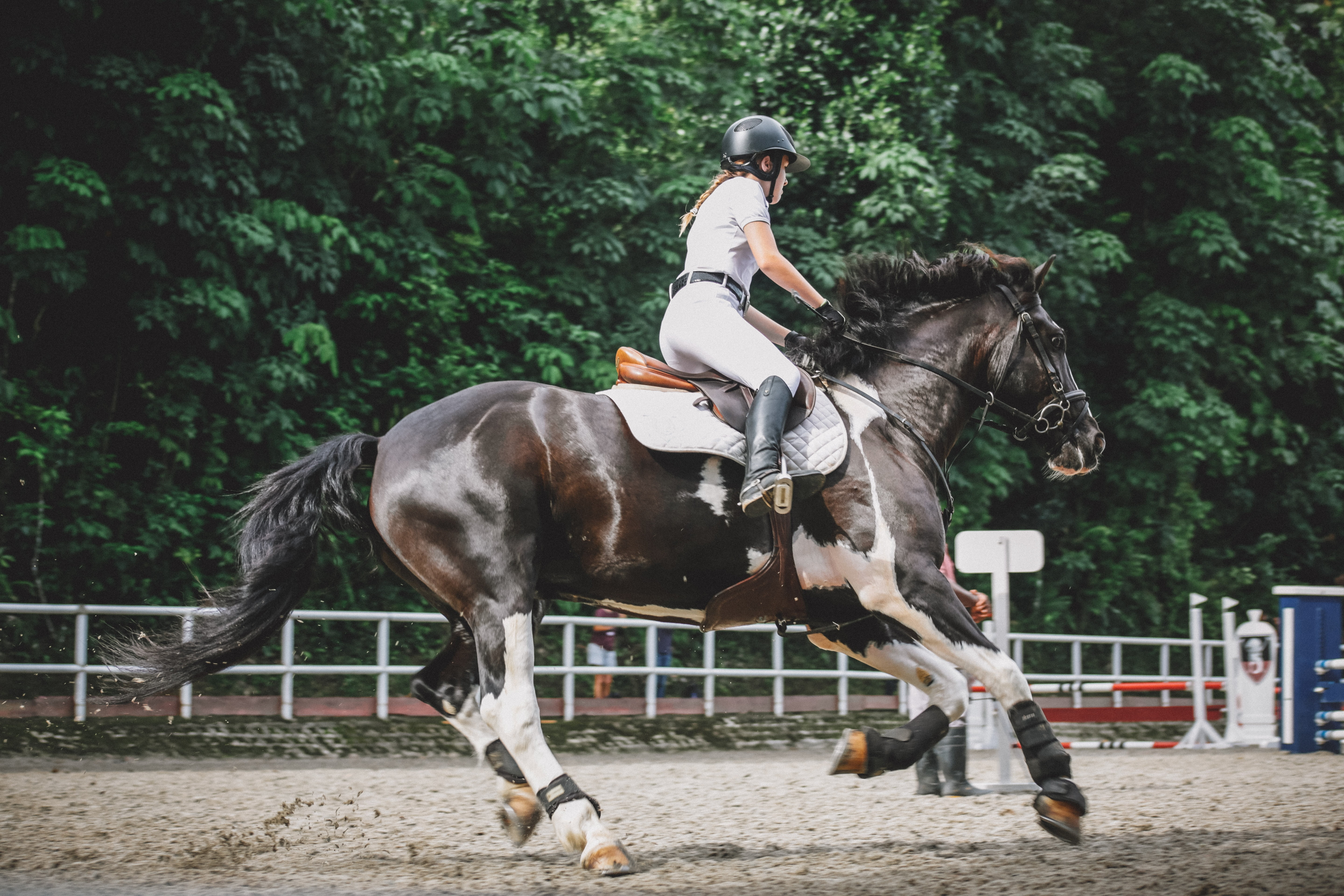 Horse, Horse Riding, Gallop, Women, Domestic, Mammal, - High Quality Horse , HD Wallpaper & Backgrounds