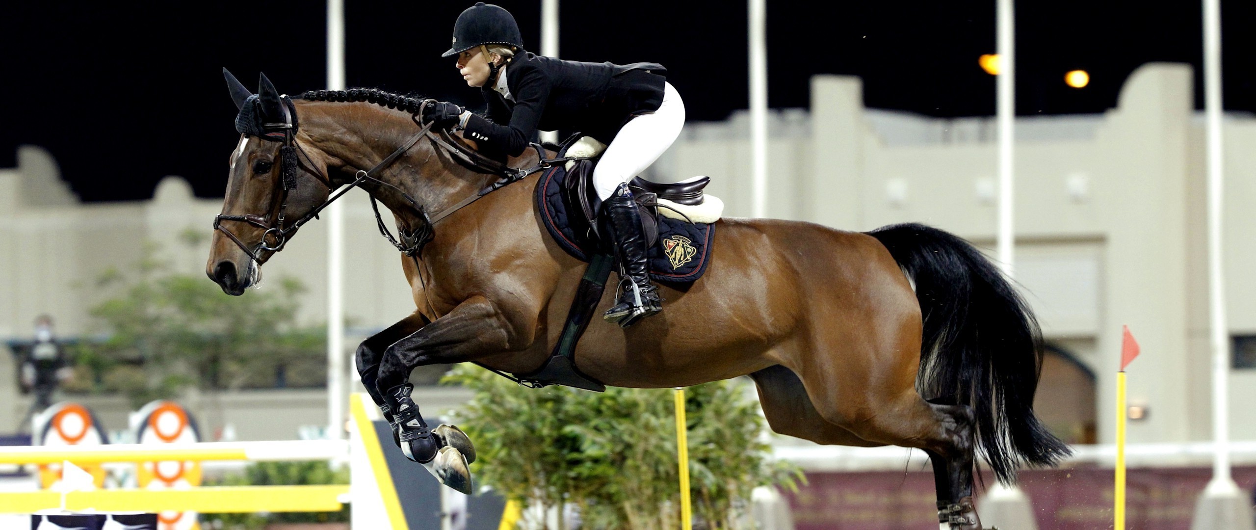 Equitation, Jumping, Horse, Horse Riding Wallpapers - Horse Jumping Wallpaper Hd , HD Wallpaper & Backgrounds