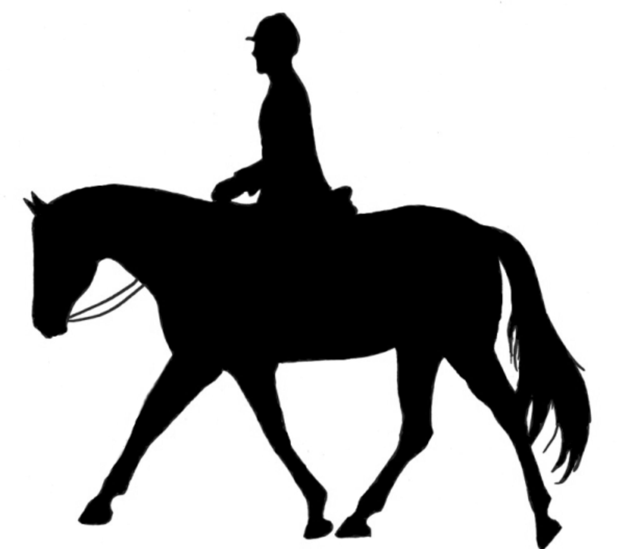 Rider Clipart Horse Riding - Clip Art Horse Riding , HD Wallpaper & Backgrounds