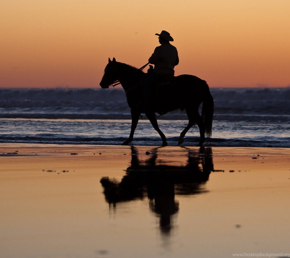 Horse Riding On The Beach , HD Wallpaper & Backgrounds